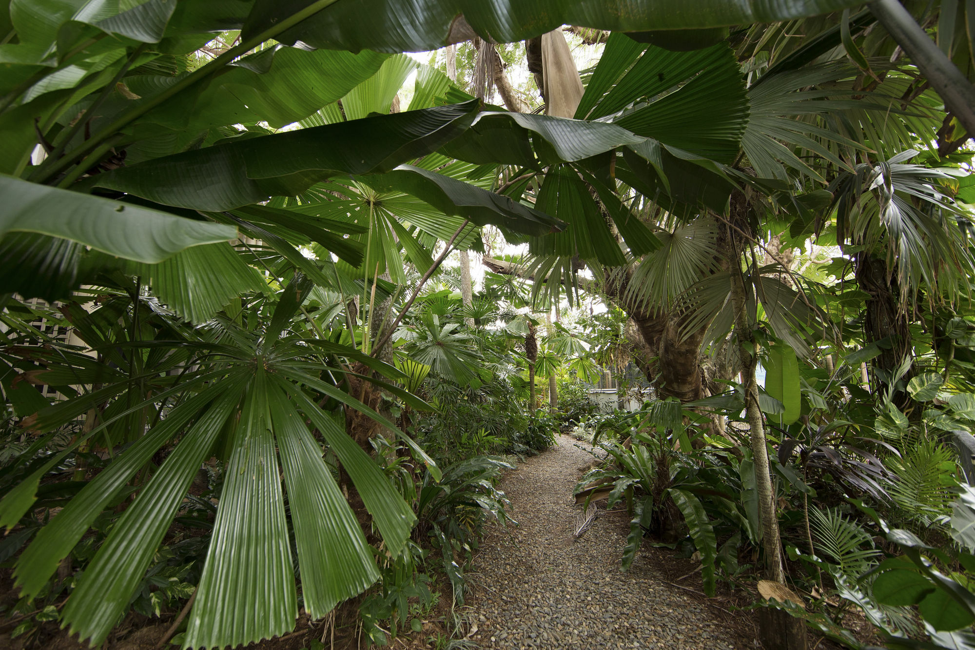 Castaways Resort & Spa On Mission Beach Exterior foto